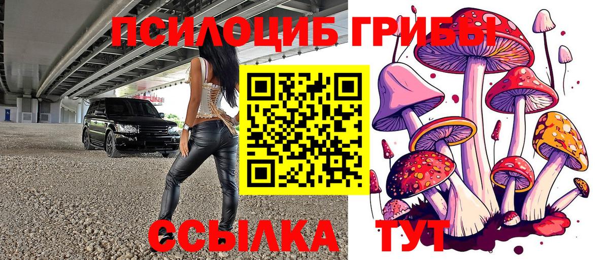 Псилоцибиновые грибы Magic Shrooms  Вход с VPN  Слободской 
